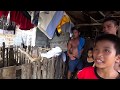 Living in a Swamp: Filipino Stilt Home 🇵🇭