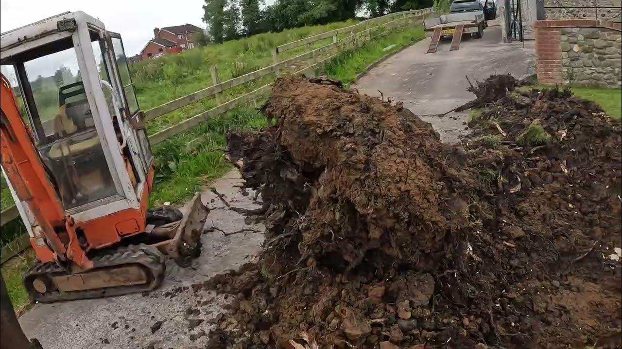 Digging out tree stumps with Case CK15 Mini Excavator YouTube