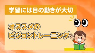 【ワンセッション】おすすめ療育〜ビジョントレーニングの支援実践〜〇こども発達支援研究会／こはけん〇