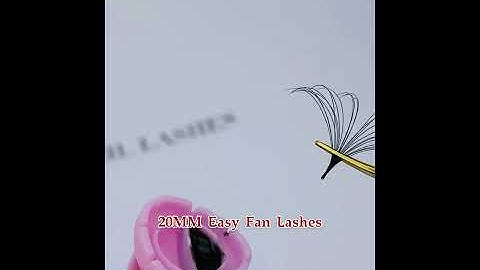 Easy Fan Lashes