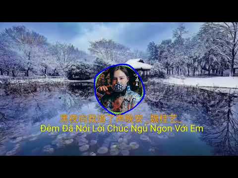 黑夜向我道了声晚安 (Đêm Đã Nói Lời Chúc Ngủ Ngon Với Em)#魏佳艺#抖音最好听的歌曲2022