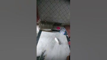 mouse sniffing the shoes 🐁 👟