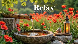 Relaxing Music and Healing Nature Sounds 🌿 Calming Music for Sleep, Relax, Spa Music Relaxation screenshot 4