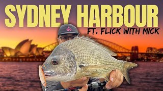 INSANE Top Water lure fishing for Bream & Pelagics