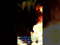 Dont join team red fanmade clone melody the alpha wendigo with the executioner