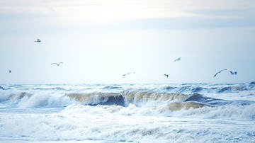 Scaling up marine nature conservation and climate solutions