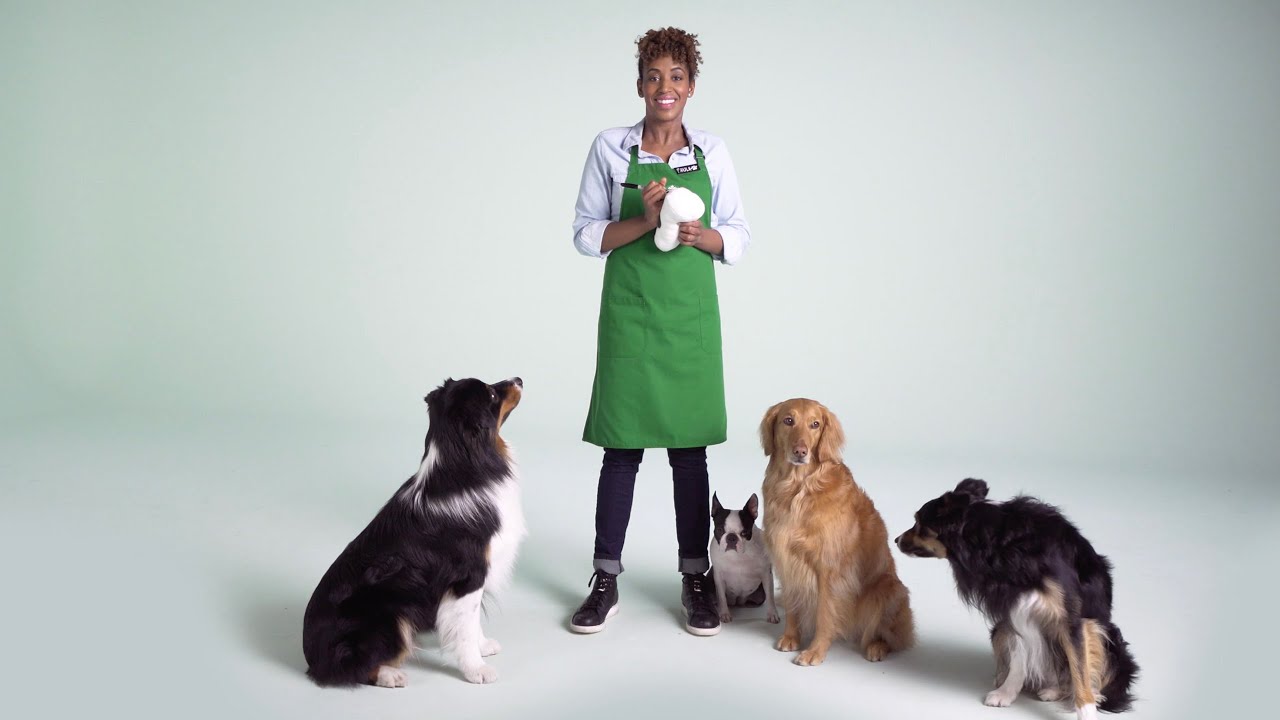 Starbucks dogs Pupbucks - A Brand New Breed of Starbucks Stores