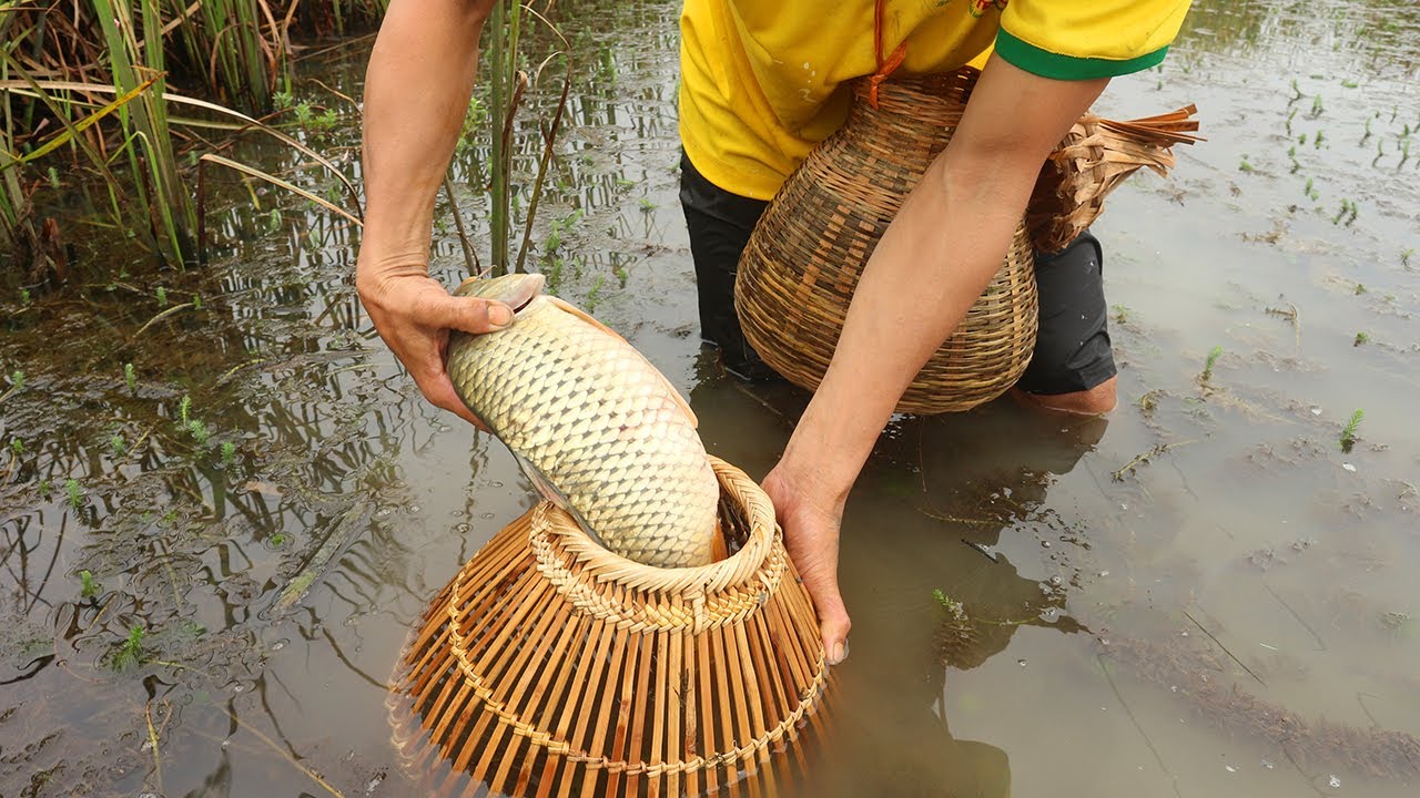 How To Tie A EASIEST Carp Fishing Rig - Carp Fishing with CHEAP MATERIALS 