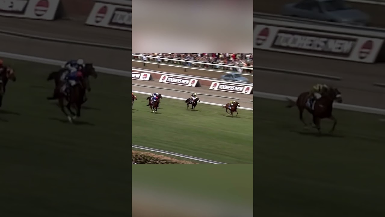 The most emotional win ever? Damien Oliver lands Melbourne Cup on Media Puzzle after brother's death