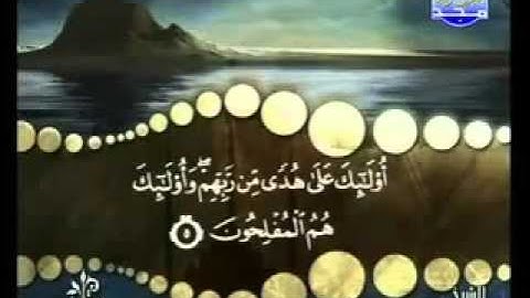 سورة البقرة  من آية 1  إلى آية 10