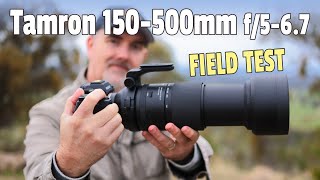 Tamron 150-500mm for SONY, How Does It Perform? Much Better Than Expected!!!