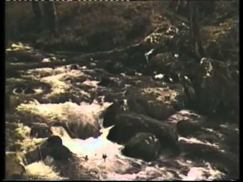 ''მოქცევაი ქართლისაი''.მიტროპოლიტი დავითის (ჭკადუა ჩემი ბაბუა) ლოცვა-კურთხევით გადაღებული.1991 წელი