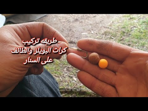 ازاى اركب كرات الطائف والبويلز على السنار Boilies Hair Rigs