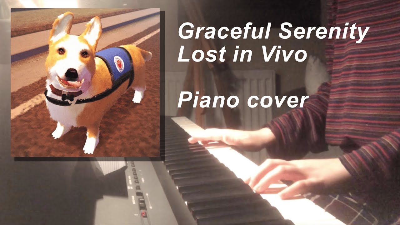 Graceful Serenity piano cover - Lost in Vivo