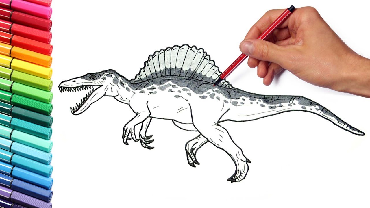 Drawing and Coloring Spinosaur from Jurassic Parck 3 - Dinosaurs Color