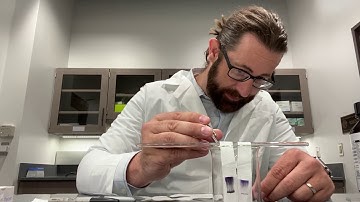 Forensic Chromatography - With Dr. Creecy