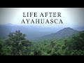 Life After Ayahuasca: Putting the Messages of the Medicine into Practice