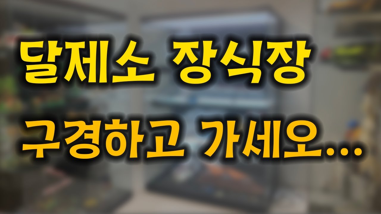 달제소 장식장 대공개🎉 (레고, 건프라, 피규어 등등)