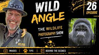 Face to Face With Mountain Gorillas | Wild Angle #25