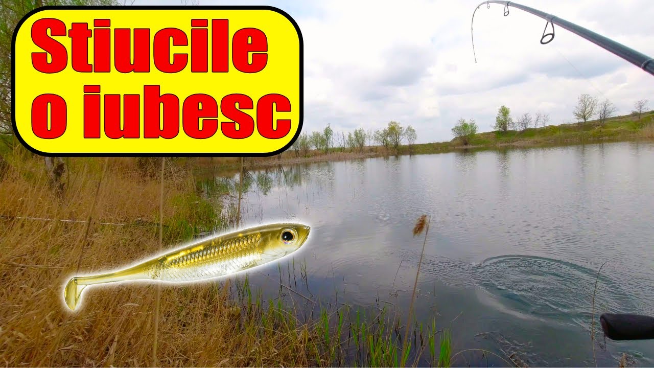 STIUCA dupa STIUCA😲 la guma AliExpress ep3