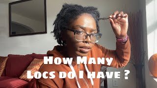 Loc Count On Thick Starter Locs| 2 Months Loc&#39;d