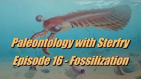 Ep16 Fossilization