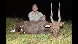 Plains Game Hunt for Bushbuck and Red Hartebeest in South Africa