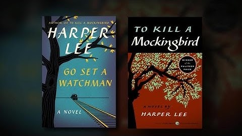 "Go Set A Watchman" incites controversy over race