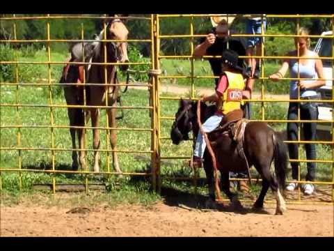 Montarias Losnak Bauru - Cavalos