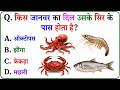 GK Question || GK In Hindi || GK Question and Answer || GK Quiz || Quiz Spy