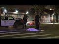 Leimert Park: Fatal Pedestrian Hit & Run Crash at 43rd street and Homeland Drive.