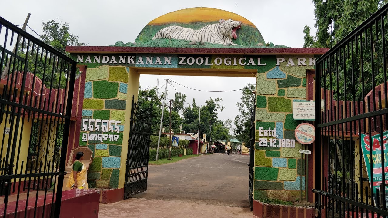 Nandankanan zoological park