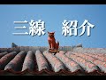 My三線紹介（カンカラ三線、本張り三線、人工皮三線、ペグ三線、白木三線）