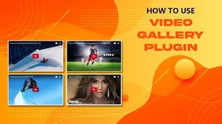 Video Gallery WordPress Plugin - How To Use Video Gallery Plugin