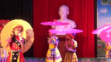 Giai điệu tuổi hồng 2022: Từ rừng xanh...