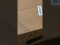 Piranha 125 first impressions