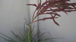 20100315_3928.mp4