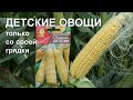 Детские овощи - только со своей грядки.