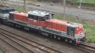 【旋回窓最後のOM入場？】DD51 1146 大宮入場 牽引EF65 2080 単8283レ