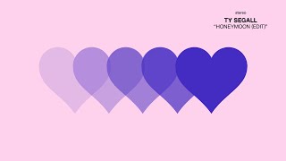 Ty Segall Honeymoon (Edit) (Official Music Visualizer)