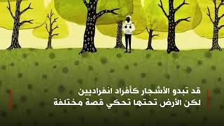 شبكة الأشجار