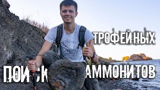 видео: В поисках огромных аммонитов| Какие окаменелости мезозойской эры можно встретить на берегу Волги? картинка: В поисках огромных аммонитов| Какие окаменелости мезозойской эры можно встретить на берегу Волги?