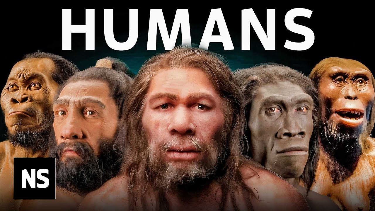Everything We Know About Our Human Origins - YouTube