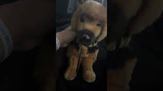 Boaty wants to be in some videos too!