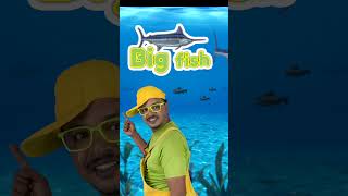 Big Jittu | Small Jittu | Learn the difference between Big and Small