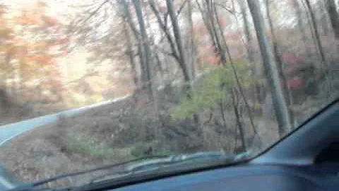 Driving whilst Maynarding