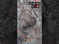 J2 WIRING umrella engine tata#mechancial #automobile #autoelectrician #repair #shortsvideo