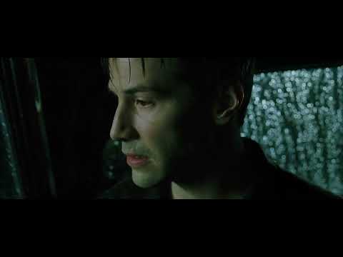Bug Free Neo - The Matrix