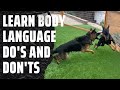 Watch as the owners learn how to correct bad body language