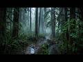 Rain Sounds for Deep Sleep – Calming Thunder and Heavy Forest Rain at Night